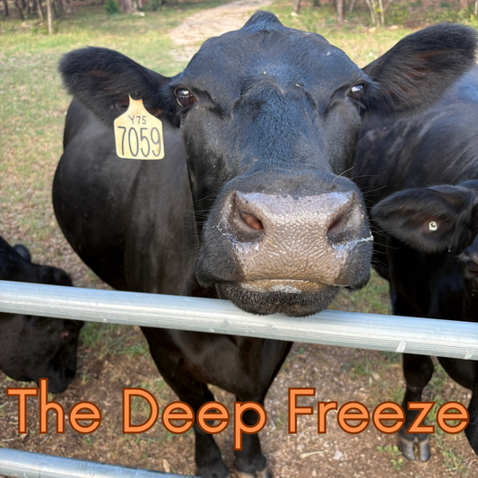 The Deep Freeze