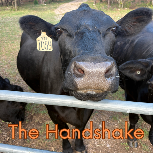 The Handshake